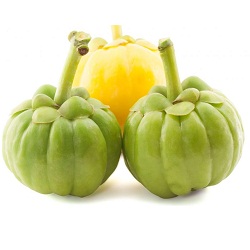 Organic Garcinia Cambogia Extract